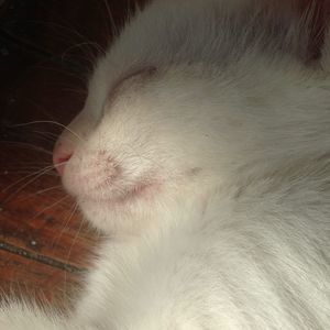 Meet your Posher, Catherine